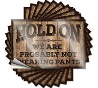 Adesivi per auto da uomo, con scritta "Hold On We're Probably Not Wearing Pants", 10 adesivi da corsa (6 x 9 cm)