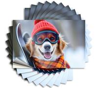 Adesivi per auto divertenti con un cane allegro vestito per sport invernali. Adesivi 10 pezzi con cartello decorativo per paraurti (6 x 9 cm)