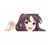 Adesivi per auto divertenti da 13 cm x 5,3 cm per finestre per motociclette impermeabili per tavole da surf Steins Gate