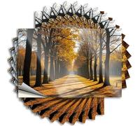 Adesivi per cassetta degli attrezzi Un sentiero alberato immerso nella luce del sole autunnale. Adesivi 10 adesivi per auto divertenti adesivi per amore (8 x 12 cm)