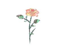 Adesivi per chitarra Capotasto per chitarra Adesivi intarsio per chitarra Adesivi per chitarra Decalcomanie per chitarra Decalcomanie per chitarra