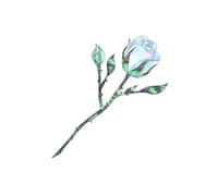 Adesivi per chitarra Capotasto per chitarra Adesivi intarsio per chitarra Adesivi per chitarra Decalcomanie per chitarra Decalcomanie per chitarra