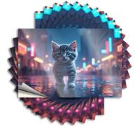 Adesivi per finestrini auto Un gattino cammina su una strada piovosa della città. 10 adesivi per auto adesivi natalizi inappropriati (6 x 9 cm)