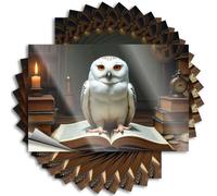 Adesivi per finestrini dell'auto con gufo innevato nella biblioteca della conoscenza, 10 adesivi per la tua auto, divertenti cartelli alcolici (6 x 9 cm)