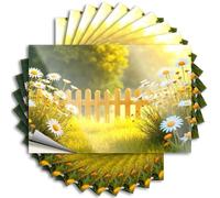 Adesivi per la tua auto Fiori gialli fioriscono intorno a una recinzione di legno in un campo soleggiato. Adesivi 10 pezzi adesivi paraurti, decalcomanie e magneti adesivi per auto (8 x 12 cm)