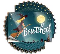 Adesivi per la tua auto, una strega che vola su una scopa sotto una luna piena con la parola stregata, 10 cartelli divertenti per casa, bar, auto e finestre (6 x 9 cm)
