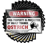 Adesivi per la tua auto Warning This Property is Protected by A Highly Trained Ostrich Funny Sticker 10 adesivi per auto con le regole del bar (12 x 18 cm)