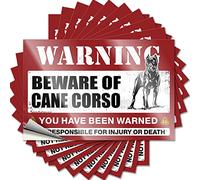 Adesivi per paraurti con scritta "Beware of Cane Corso", 10 pezzi, accessori da bar, accessori per bar, grotta dell'uomo (6 x 9 cm)