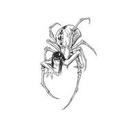 Adesivi Per Tatuaggi A Base Di Erbe Con Ragno Dal Volto Umano Per Gambe E Braccia, Impermeabili Semipermanenti, Duraturi E Realistici