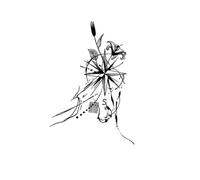 Adesivi per tatuaggi con erbe a forma di stella, per collo, braccia, vita e cosce, per uomini e donne, adesivi impermeabili e duraturi, tatuaggi finti