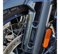 Resin Bike Adesivi Moto Compatibile con Harley Davidson Pan America 1250 2020-2023. Protezione Parafango e Parasteli da Urti e Graffi. Adesivi Resinati con Effetto 3D Made in Italy