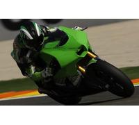 Adesivi Riflettenti Per Ruote Con Emblema Adesivo Moto Per Kawasaki Per NINJA250 300 650 1000 ZX-6R 10R 14R H2/H2R(A Green)