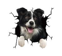 Adesivo 3D per auto a forma di cane, divertente, per Border Collie, impermeabile, per auto, paraurti, finestre, frigoriferi