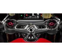 ADESIVO 3D piastra sterzo compatibile per MOTO DUCATI 959 PANIGALE 2016-2019
