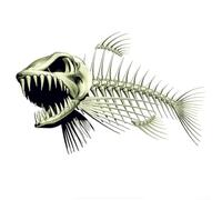 Adesivo Auto Scheletro Pesce 28x15cm Decorativo