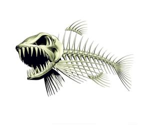 Adesivo Auto Scheletro Pesce 28x15cm Decorativo
