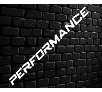 Adesivo Auto Tuning Per Parabrezza Performance Bianco 96 X 7