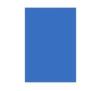 Adesivo blu senza scritta per targa auto (9,8 x 4,5 cm)