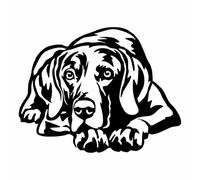 Adesivo cane razza Bracco di Weimar (weimaraner) mod. 3 Prespaziato colore nero cm. 20