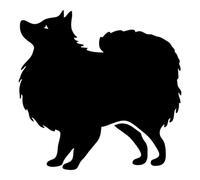 Adesivo cane razza Volpino di Pomerania Prespaziato mod. 5 colore nero cm. 13
