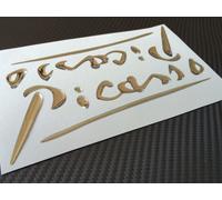 Adesivo Citroen Picasso emblema scritta parafango Picasso 3D cromato