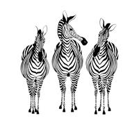 Adesivo da parete con animali Zebra Trio Safria, camera da letto, soggiorno, Africa, giungla, fauna selvatica, animali, cameretta per bambini, vinile-XL-92x99cm-Black