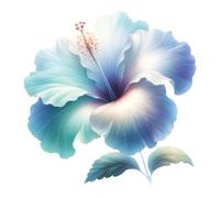 Adesivo da parete gigante XXXL 30X30 cm fiore di ibisco, acquerello fiori qua...