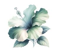 Adesivo da parete gigante XXXL 30X30 cm fiore di ibisco, acquerello fiori qua...