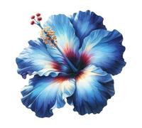 Adesivo da parete gigante XXXL 30X30 cm fiore di ibisco, acquerello fiori qua...