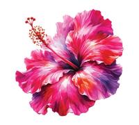 Adesivo da parete gigante XXXL 30X30 cm fiore di ibisco, acquerello fiori qua...