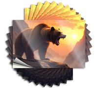 Adesivo divertente con un orso ruggente che si trova su una scogliera rocciosa al tramonto, 10 adesivi per auto divertenti (12 x 18 cm)