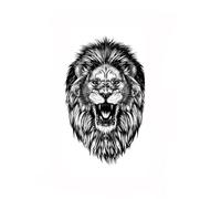 Adesivo for tatuaggio impermeabile Tigre, drago, fiore, manica del braccio Uomo Donna Adesivo for tatuaggio Tigre Grande gatto Elemento animale Impermeabile Body art finto for uomo Donna(006)