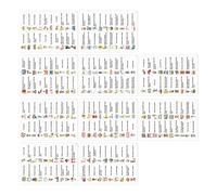 Adesivo interattivo con parole inglesi, etichette adesive per vocabolario per quaderni, bottiglie d'acqua, etichette adesive educative da parete