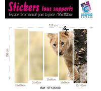 Adesivo Leone Cucciolo di Savana Decorazione Parete LI-04