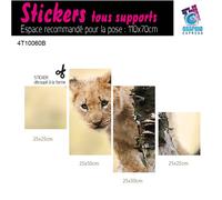 Adesivo Leone Cucciolo di Savana Decorazione Parete LI-04