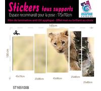 Adesivo Leone Cucciolo di Savana Decorazione Parete LI-04
