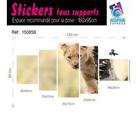 Adesivo Leone Cucciolo di Savana Decorazione Parete LI-04