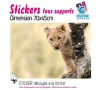 Adesivo Leone Cucciolo di Savana Decorazione Parete LI-04