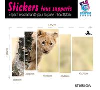 Adesivo Leone Cucciolo di Savana Decorazione Parete LI-04