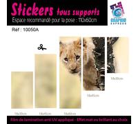 Adesivo Leone Cucciolo di Savana Decorazione Parete LI-04