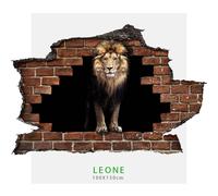 Adesivo parete Leone effetto 3D foro su mattoni wall sticker adesivo per muro LE