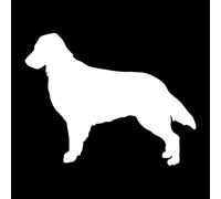 Adesivo per Auto 16.5 * 12.7 Cm Flat-Coated Retriever Dog Animal Car Sticker Decal Body Cover Scratch Adesivi Decorativi Accessori