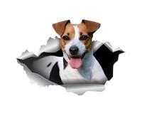 Adesivo per auto, 22 cm, motivo: Jack Russell Terrier 3D, con scritta in lingua inglese "Jack Russell Terrier" e scritta in lingua tedesca