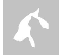 Adesivo per auto, bianco per gatti e cani, adesivo creativo, adatto per e-bike, moto e qualsiasi superficie liscia, impermeabile, non stinge, per auto all'aperto, 1 pezzo, 20 cm x 20 cm