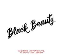 Adesivo per auto - Black Beauty Sticker Pellicola nera per auto Decal Shocker
