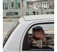 Adesivo per auto con leone, decalcomanie con leone per veicoli - Decorazione adesivo per auto con decalcomania per finestra,Fantastici adesivi con luce riflessa e forte per bicchieri, laptop, pareti d