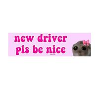 Adesivo per auto con scritta in lingua inglese "Nice Driver", "New Driver Please Be Nice", adesivo divertente per auto