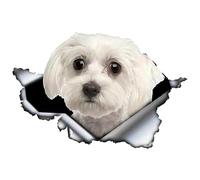 Adesivo per Auto in Pvc Impermeabile, Asudaro 2 Pezzi Adesivo per Cani di Razza Bichon Frise Adesivo per Auto Divertente per Animali Adesivo per Cani 3d per Auto, Camion E Autobus