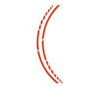 FOLIATEC 34445 Adesivo ruota