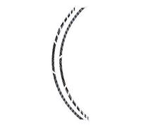 Foliatec F34449 pin-striping Racing profilo design, carbon-structured, 14 x 41 cm